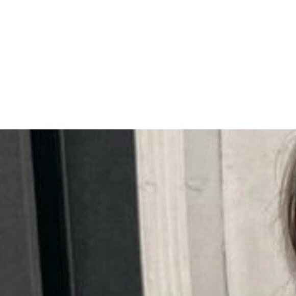 SHEIN White & Grey Floral Rose Womens Plus Size 3X V-Neck Long Sleeve Office - Picture 1 of 12